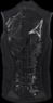 Защита ATOMIC  Live Shield Vest Men